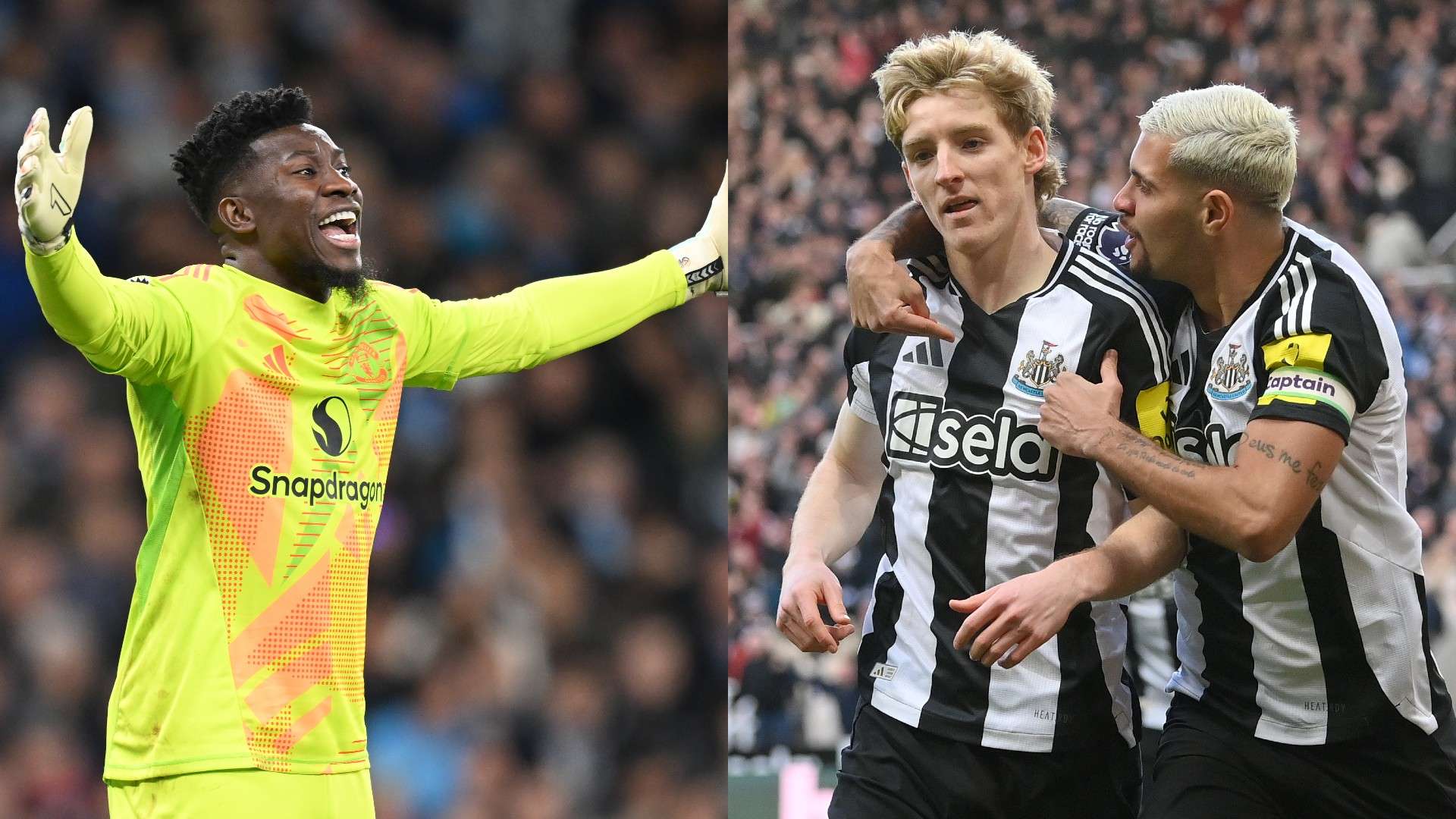 应性和团队 应性和团队